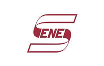 Senes Consultants India. Ltd. – India